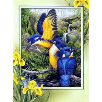 Diamond Painting Schilderachtige vogels