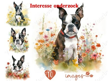 Diamond Painting interesse onderzoek