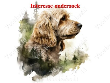 Diamond Painting interesse onderzoek