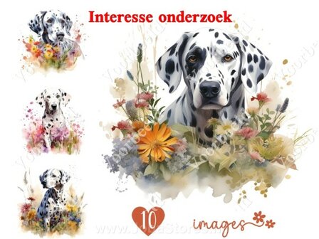 Diamond Painting interesse onderzoek