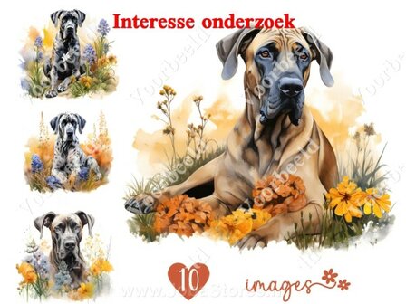 Diamond Painting interesse onderzoek