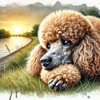 Diamond Painting Caniche