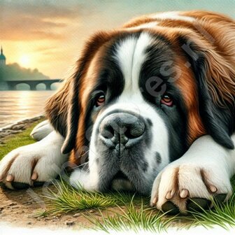 Diamond Painting Saint-Bernard