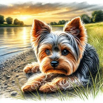 Diamond Painting Yorkshire Terrier