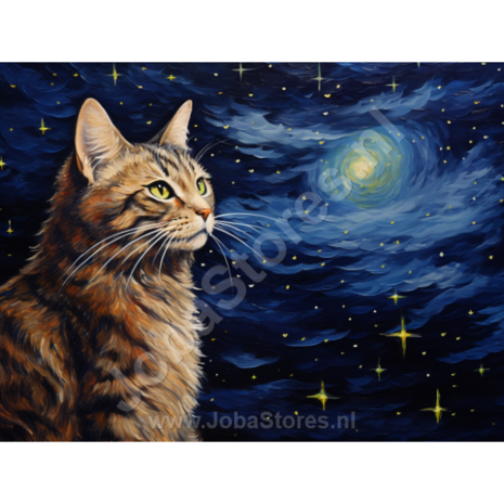 Diamond Painting Sterrennacht Kat 