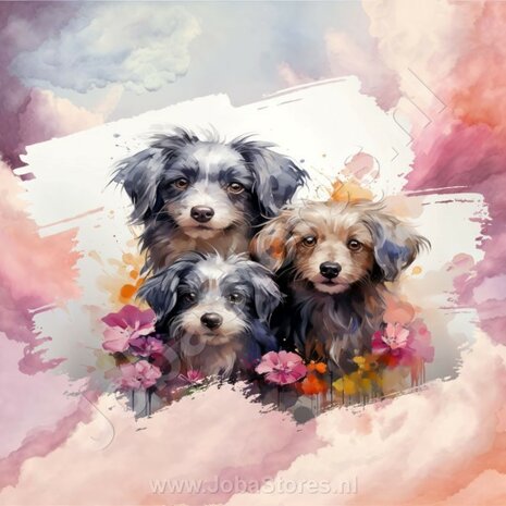 Diamond Painting Aquarel Hond - Havanezer