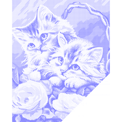 HappyDots DOT Painting Kittens in mand 30x40cm - Stippelschilderij Blauw